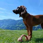 Appartamento Am Muehlbachl Rohrberg