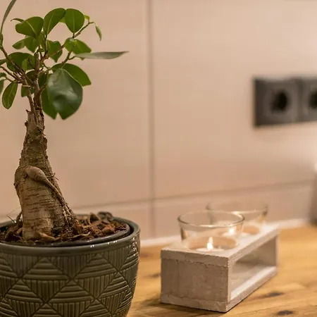 Am Muehlbachl 아파트